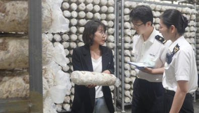 陕西商洛：香菇菌丝首次以“批次检验（检疫）”模式出口