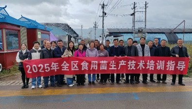 宁夏自治区园艺站组织开展食用菌生产技术培训指导