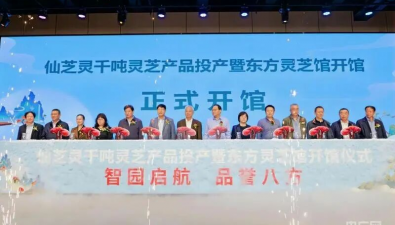 千吨灵芝产品投产暨东方灵芝馆开馆在金寨举行