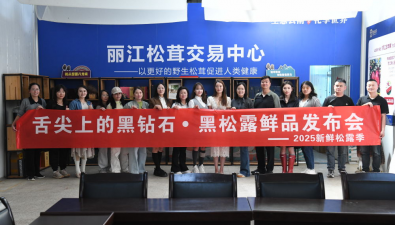云南丽江：可以吃的“黑钻石”上市啦