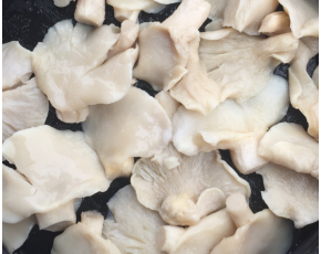 河北供应平菇白平菇