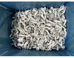 河北供应速冻姬菇出口级