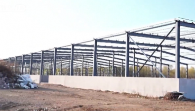 吉林敦化：黑木耳产业集群项目预计2025年末全面投产