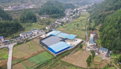 贵州余庆县：香源菌业2号厂投产即满负荷