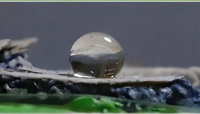 新方法利用食用真菌生成防渗膜