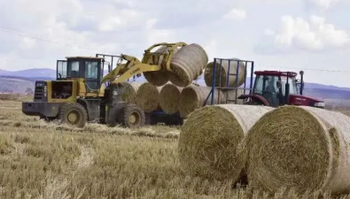 牡丹江生物质燃料项目让8亿袋废旧菌包等“变废成金”