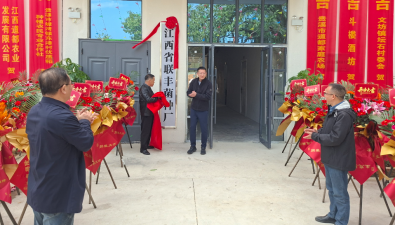 江西贵溪：金屯镇联丰菌种厂揭牌投产