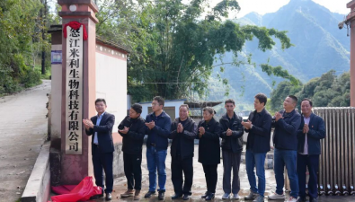 怒江米利生物科技开业，菌棒生产设备启动