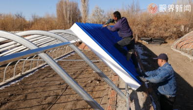 新疆乌鲁木齐：东沟乡18座温室大棚“焕新”