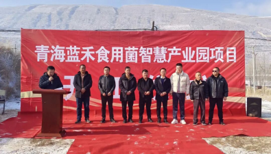 青海西宁：湟中区李家山镇食用菌智慧产
