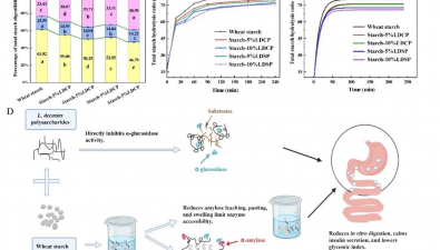 鹿茸菇多糖改良小麦淀粉特性及相关机制解析取得新进展