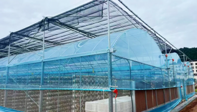 四川射洪：仁和镇食用菌产业园即将完工