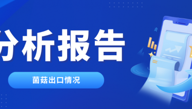 2025年11月干牛肝菌出口情况分析报告