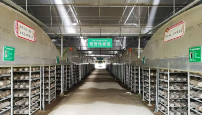 河南西峡全域食用菌出口大基地入选出口食品原料种植场名录