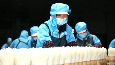 安徽康恒生物上半年金针菇产量约13000吨