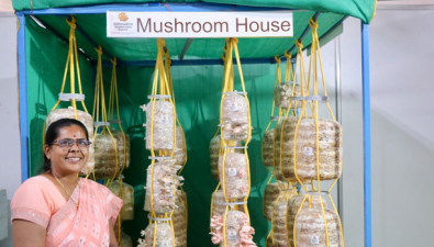 特色蘑菇需求持续攀升，印度企业搭建规模化种植合作网络
