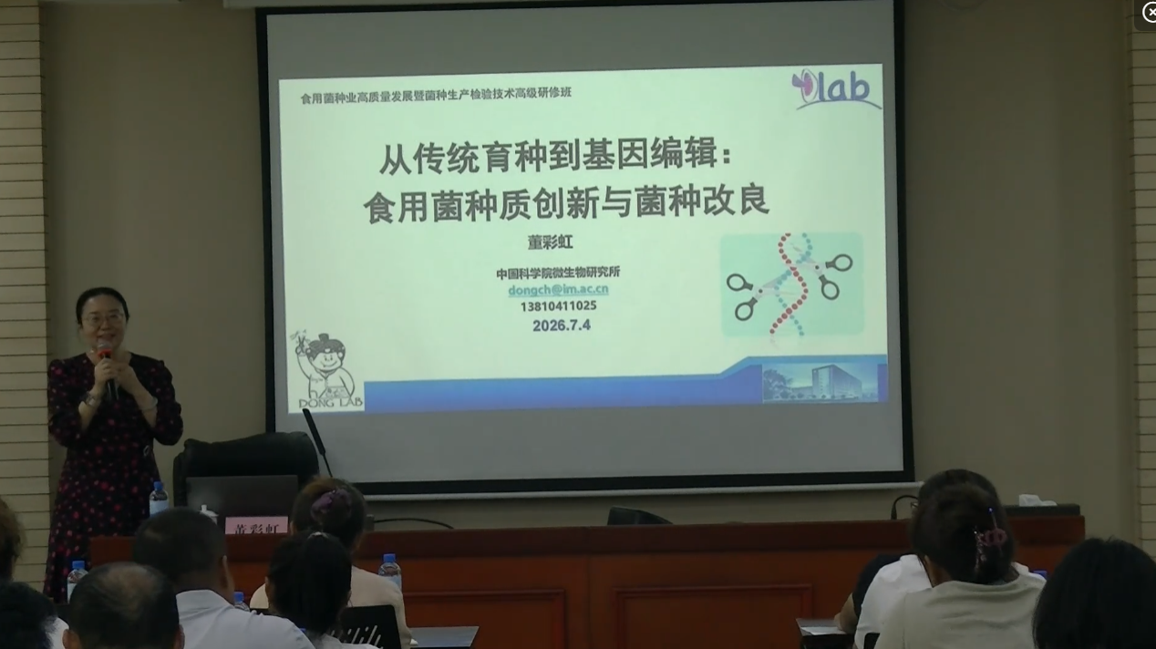 董彩虹-从传统育种到基因编辑： 食用菌种质创新与菌种改良