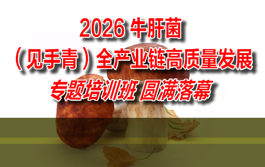 2026年6月25日—27日，“2026牛肝菌（见手青）全产业链高质量发展专题培训班”在中国科学院昆明植物研究所成功举办。