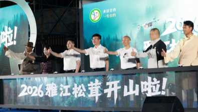 松茸原产地认证体系正式发布，每朵松茸都配上“身份证”