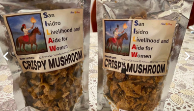 菲律宾阿布拉省打造蘑菇特色产业，赋能女性增收致富