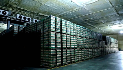 江西崇仁县：郭圩乡深耕食用菌产业惠民增收