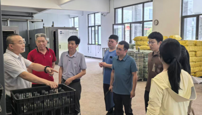 福建古田：银耳菌种全自动灌装流水线研发项目通过专家验收，填补行业设备技术空白