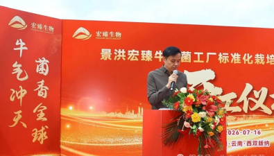 景洪宏臻牛肝菌工厂标准化栽培项目（五期）开工