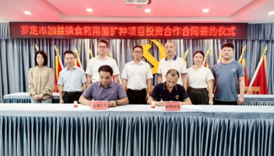 广东罗定：加益镇食药用菌扩种项目正式签订投资合作合同