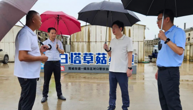 莞揭帮扶| 建现代化食用菌种植基地，激活草菇产业