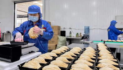 四川蓬溪：推动食用菌产销“一件事”，证照1小时办结