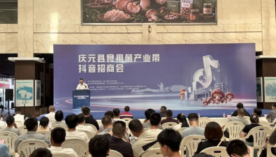 浙江：庆元食用菌产业带抖音电商招商会举行