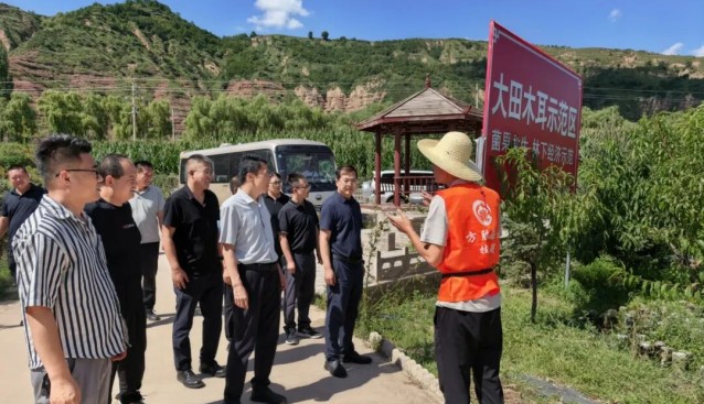 甘肃灵台中台镇组织开展食用菌产业招商考察