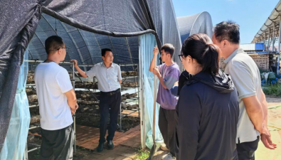 甘肃灵台：中台镇组织开展食用菌产业招商考察