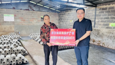 云南大理：凤仪镇为转型发展食用菌农户发放扶持补助